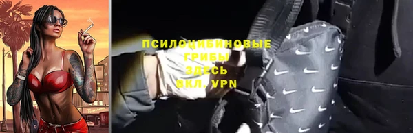 прущие крисы Арсеньев